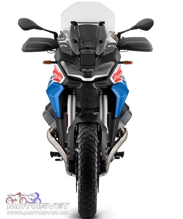 mgdt3